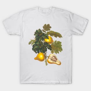 Pomegranate T-Shirt